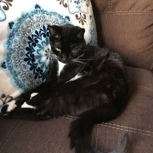 Meet your Posher, April